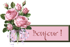 Bonjour mes ami(e)s